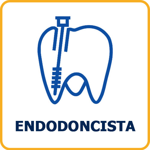 endodoncista